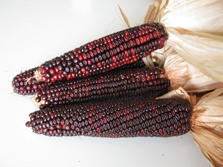 Butchers Apron Red Cord on the cob for making Red Corn Whiskey